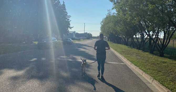 24 Hour Movement Guidelines image