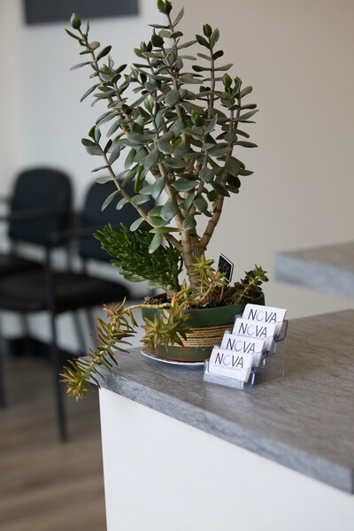 Nova business cards and plant sitting on grey front reception desk in clinic
